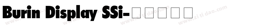 Burin Display SSi字体转换